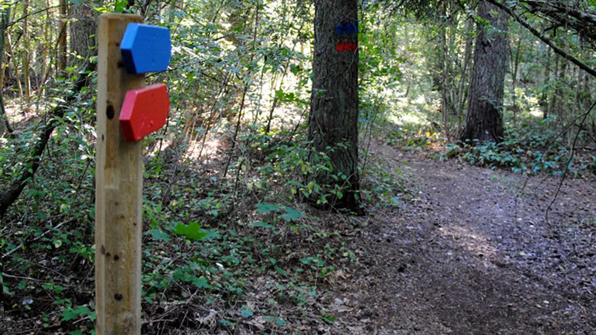 Motionsspåren i skogen restaurerades och märktes upp med ny blå och röd färg. Ingen ska längre springa vilse i skogen.