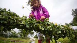 Midsommar på Byängen @ Byängen Brösarp | Brösarp | Skåne län | Sverige