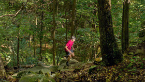 Österlen Trail Run @ Öståkra | Skåne län | Sverige