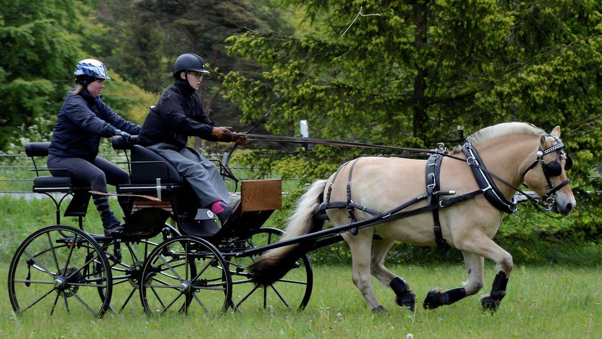 Ellinor Persson från Onslunda kör hästen Vessmer och med finns också "burkslav" Marina Nelin. Foto: Hanseric Jonsgården