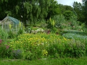 Temakväll – Permakultur @ Ecotopia på Österlen | Skåne län | Sverige